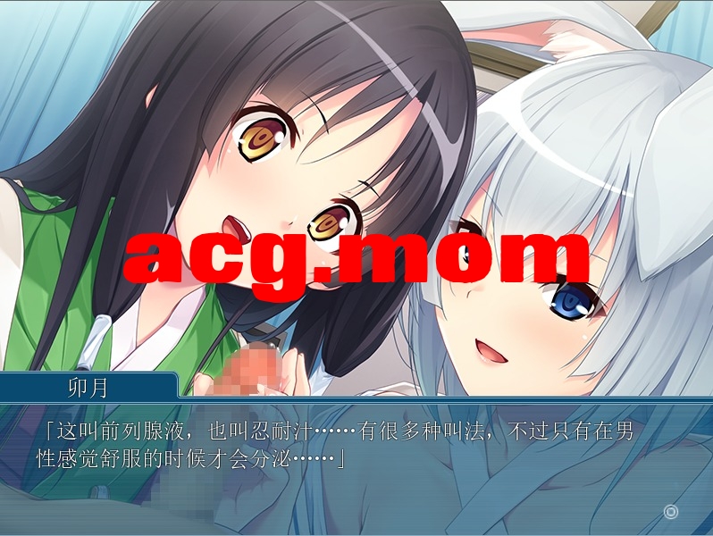 185133.jpeg