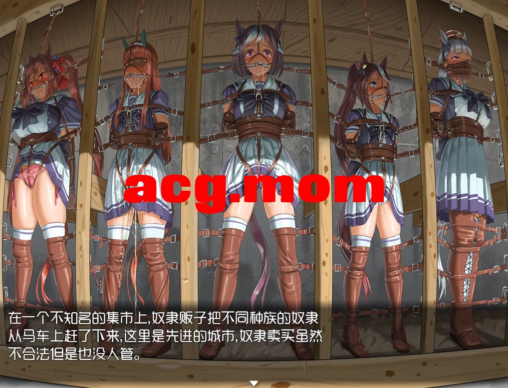 QQ20241211-120311.jpeg