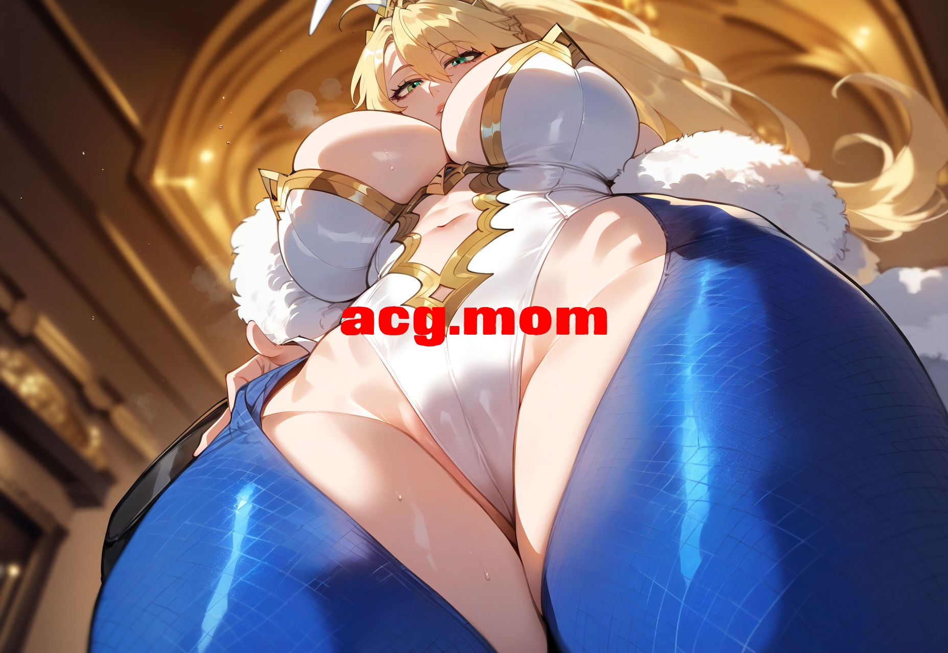2.jpg