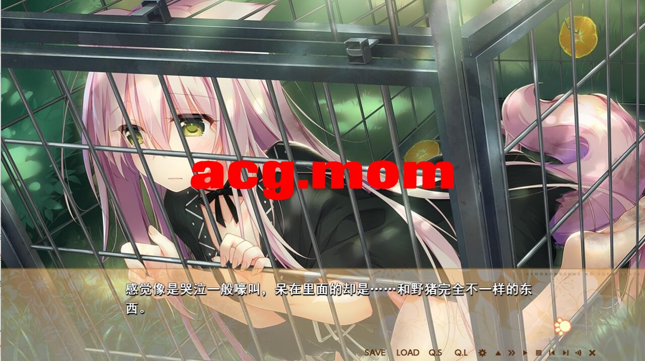 QQ20240315154848.jpeg