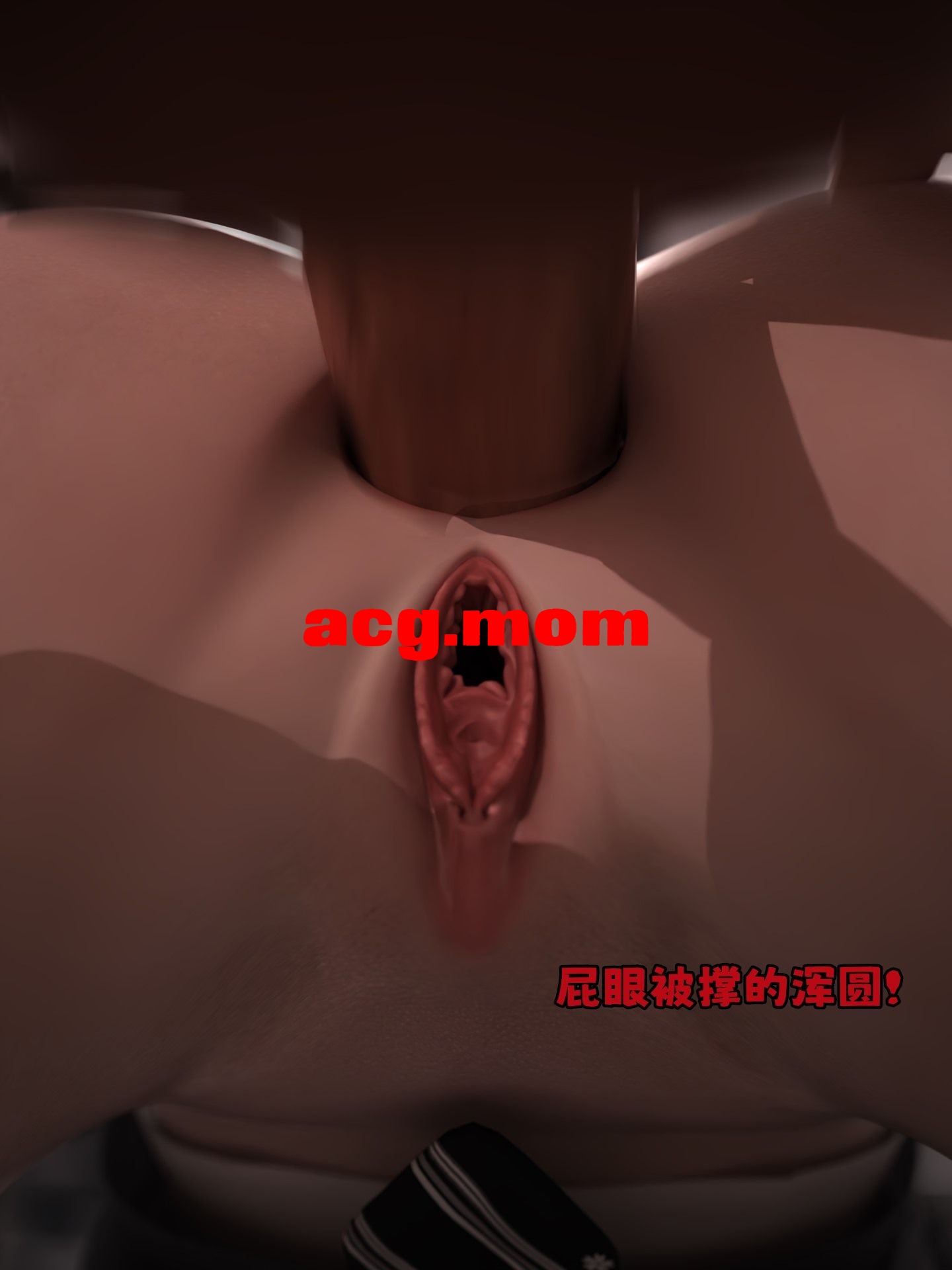 151.jpg