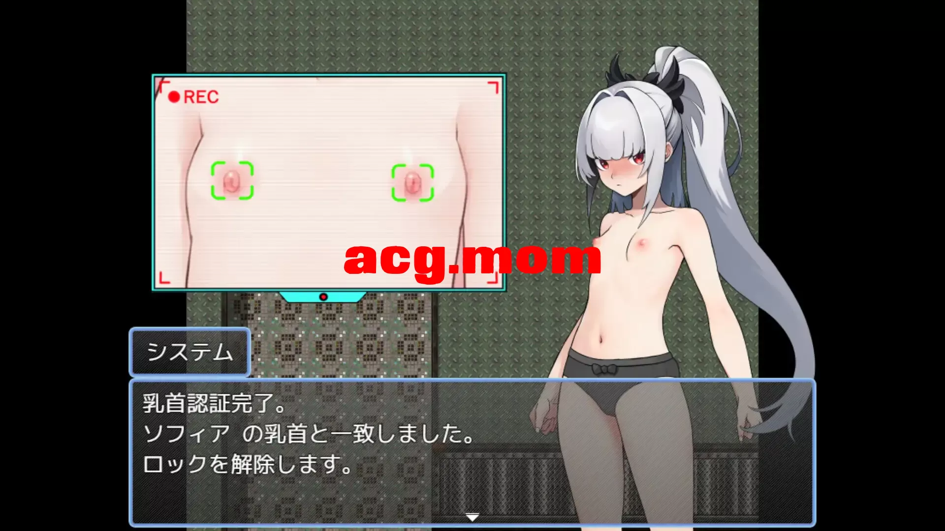 7.webp