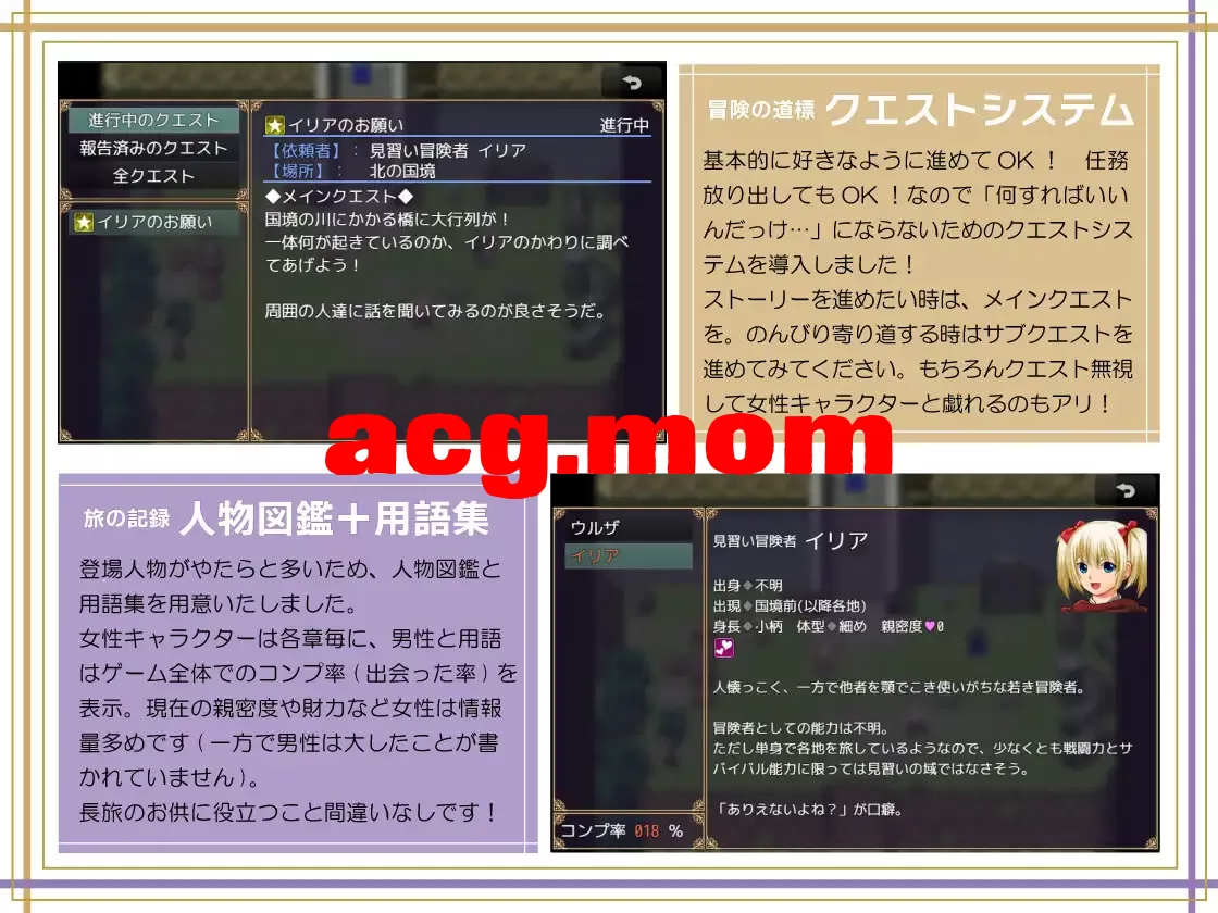 12.webp