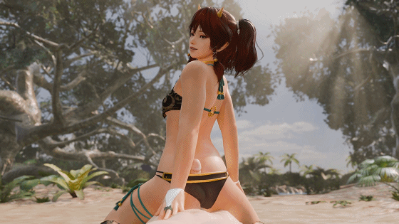 6.gif