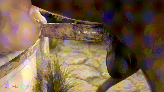 1.gif