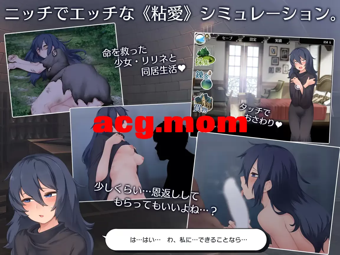 3.webp
