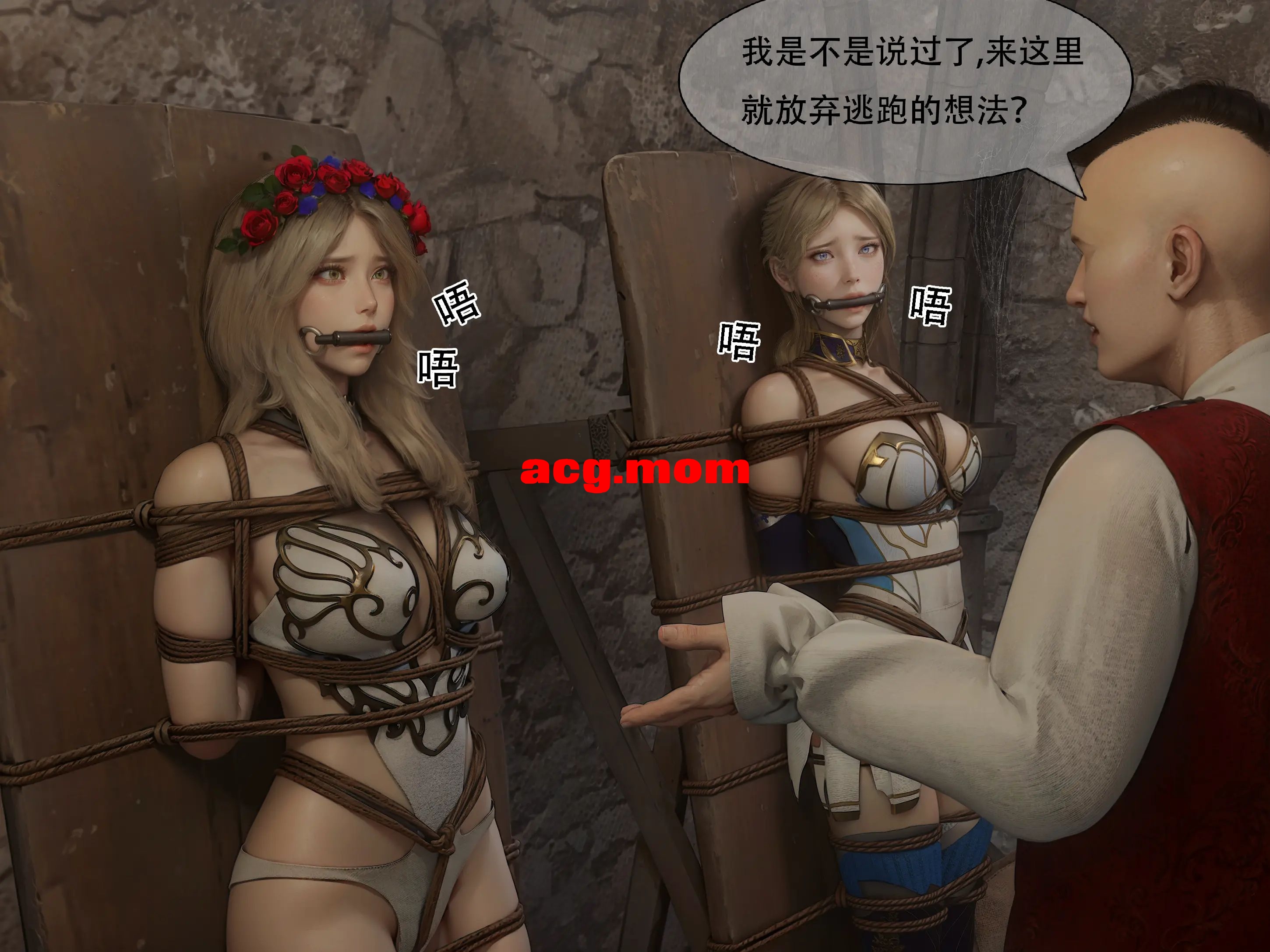 46.jpg