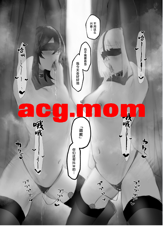 5.png