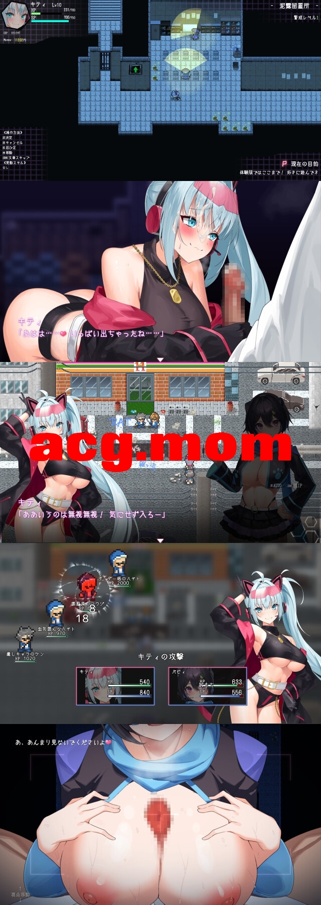 11.jpg