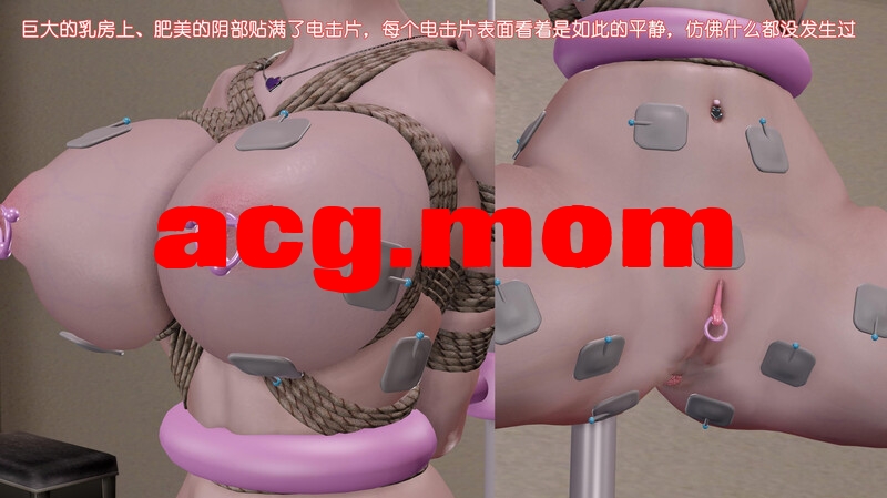 [玩法天花板] 性虐剪影+番外-7、电刑调教-上 [313P/212M/FM/百度]