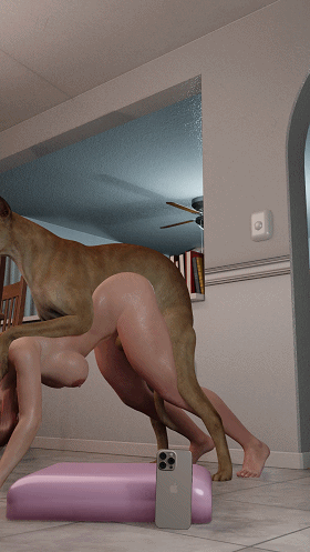 5.gif