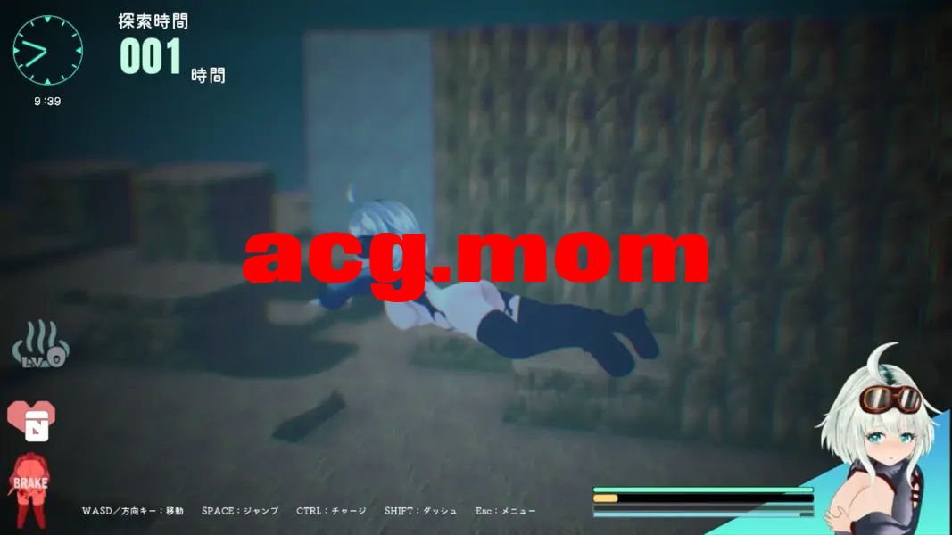 7300000594.png