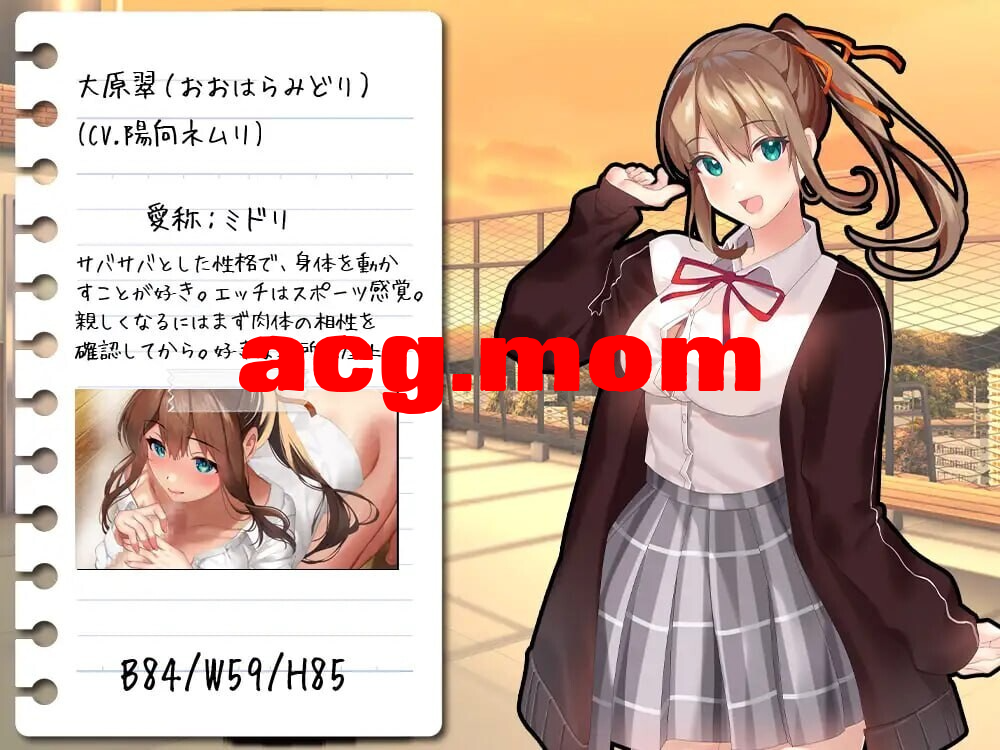 8700000528.png