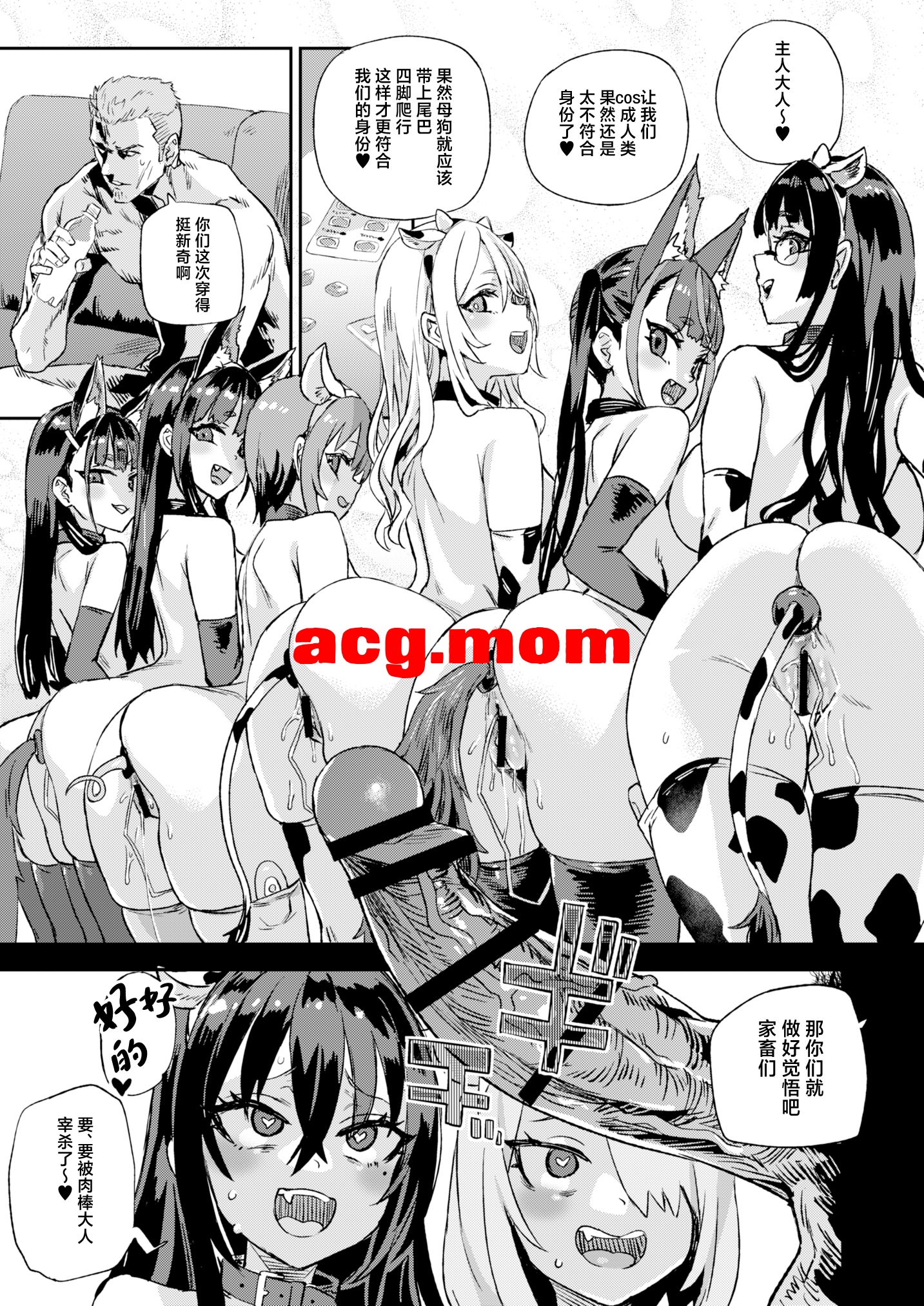 5.jpg